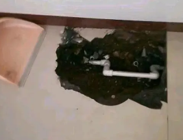 高青卫生间测漏水多少钱